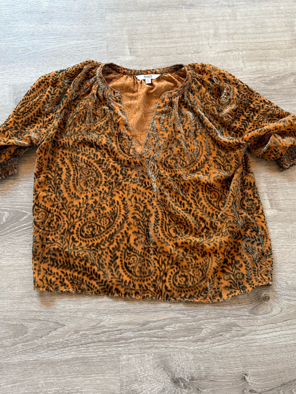 BB Dakota Burnt Orange Paisley Velvet Top